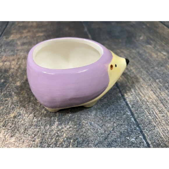 Hedgehog Small Planter, Jar, Caddy, Purple! - Picture 3 of 11